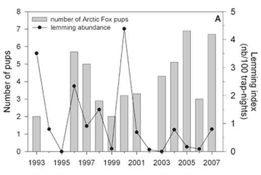 Red Fox Population Chart